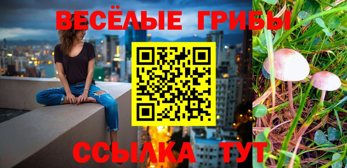 Вятские Поляны  Галлюциногенные грибы GOLDEN TEACHER  Вход с VPN 